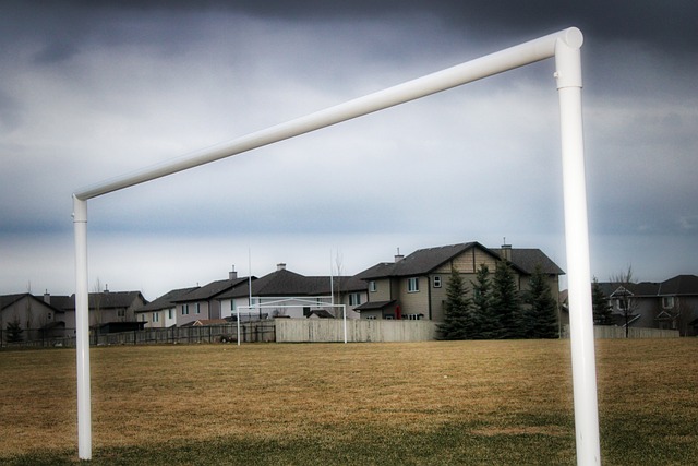 这些关键词 这些关键词