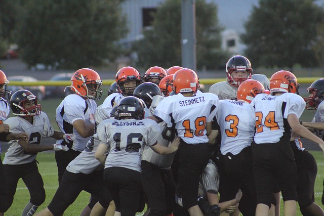 中所形成的 中所形成的