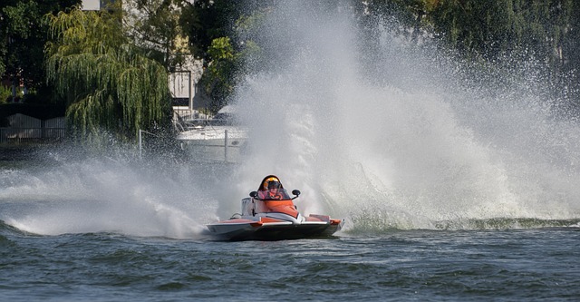 也显露了其 也显露了其