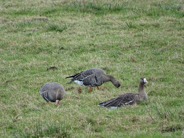 美的诗篇 美的诗篇