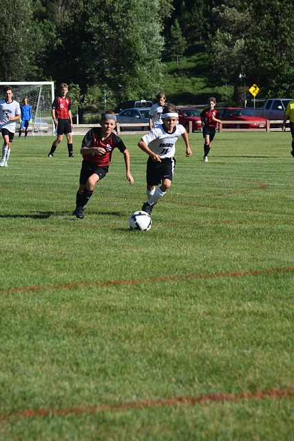 哈蘭德與福 哈蘭德與福