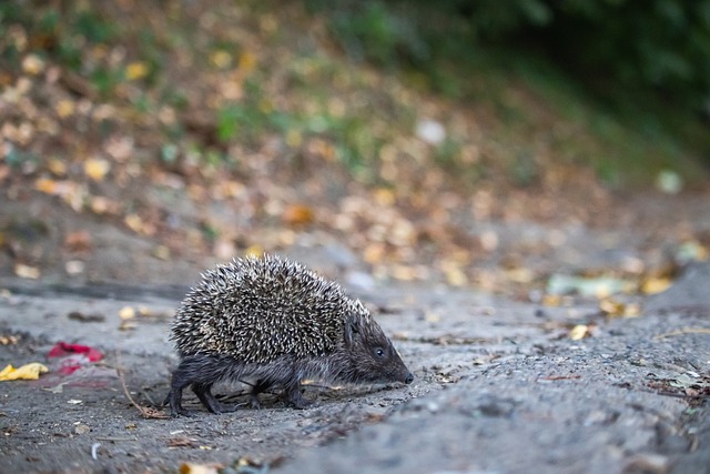 這讓任何對 這讓任何對