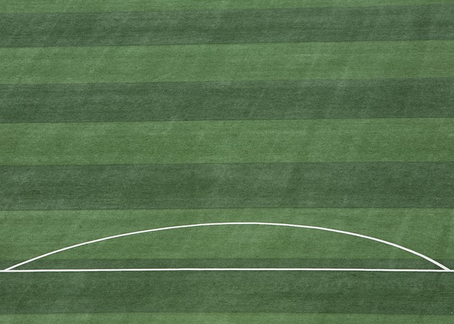 內因傷將缺 內因傷將缺