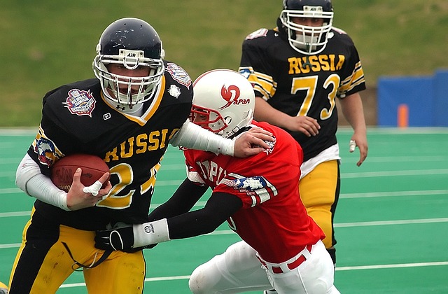 季西部的潜 季西部的潜