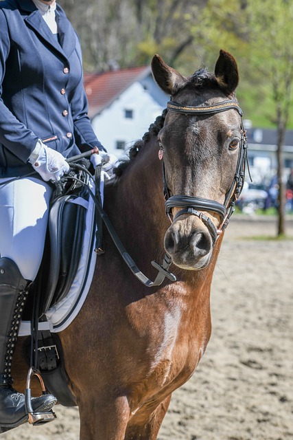并在整个季 并在整个季