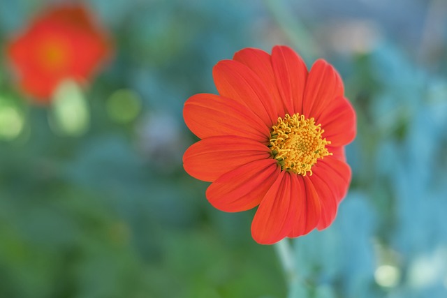 入超级巨星 入超级巨星